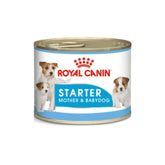 Royal Canin Starter Mousse Puppy Wet Food